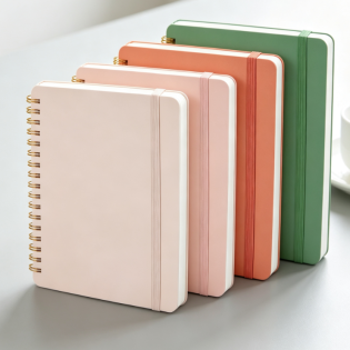 Small spiral ruled notebook set